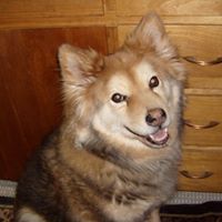 Max Flowers Photo 19