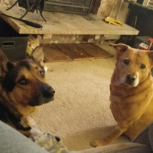 Staci Coleman Photo 23