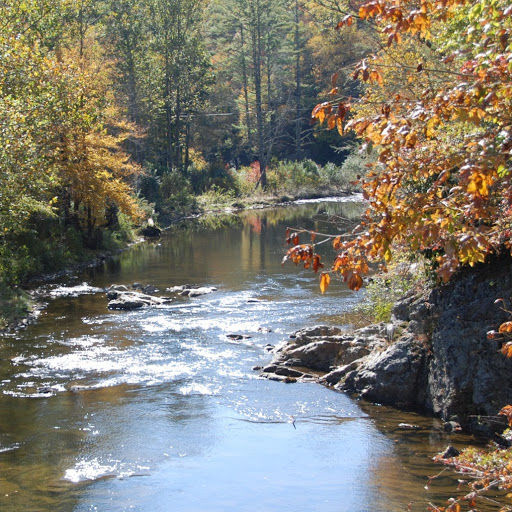 Greg Rowland Photo 13