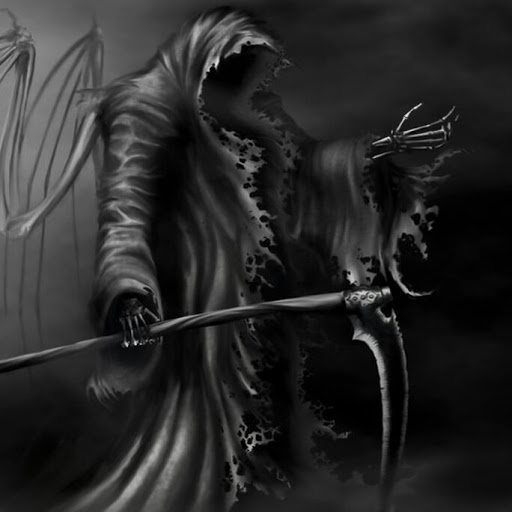 Douglas Wilcox Photo 31