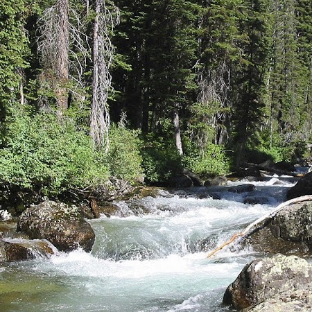 Connie Mills Photo 7