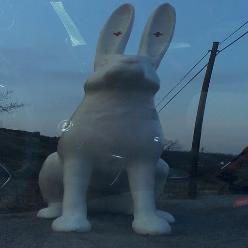 Richard Allan Photo 37