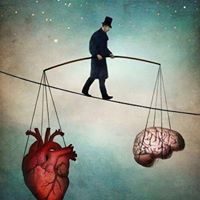 Steven Feinstein Photo 25