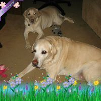 Maureen Reardon Photo 21