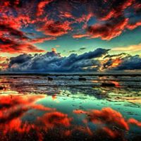 Stephanie Tripp Photo 34