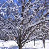 Susan Mcgough Photo 6