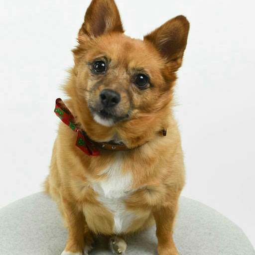 Sarah Hewitt Photo 29