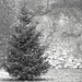 Dorothy Snow Photo 38