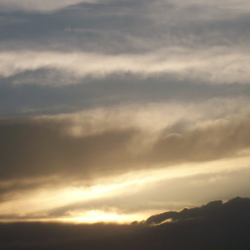 Sherry Ross Photo 49