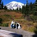 Stephen Rainier Photo 6