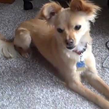 Michelle Piper Photo 23