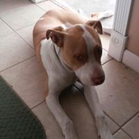 Jeffery Glenn Photo 10