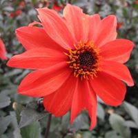 Sally Watson Photo 6 Sally Watson Photo 6