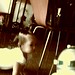 Sophia Chase Photo 11