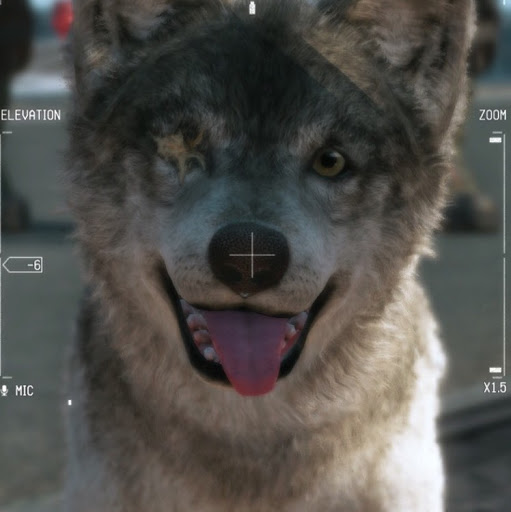 Richard Wolf Photo 19