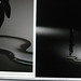 Stephen Hayward Photo 13