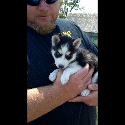 Shaun Mcdowell Photo 9