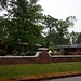 Jennie Gray Photo 38