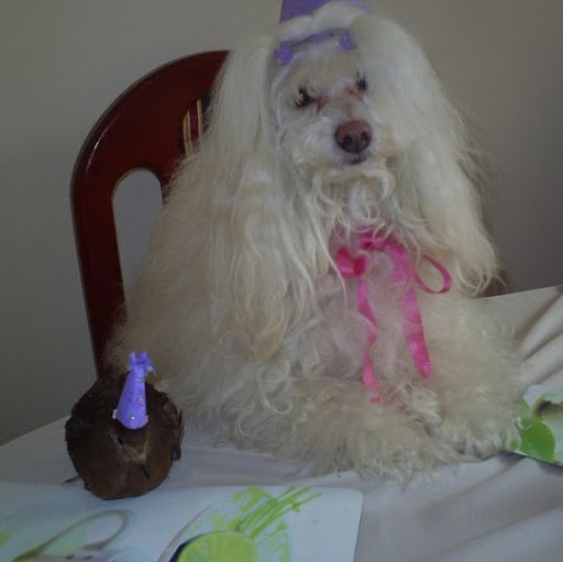 Doris Gomez Photo 39