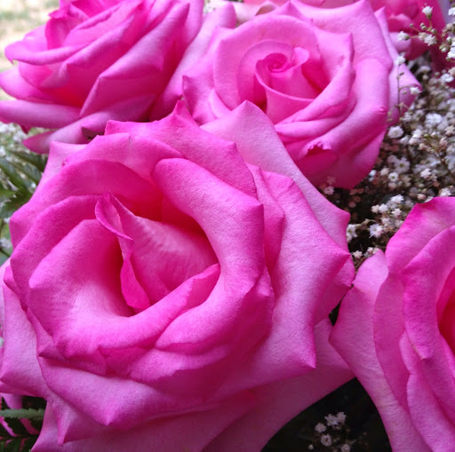 Stacie Kingsbury Photo 3