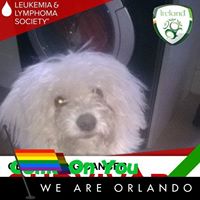 Karen O'Halloran Photo 2