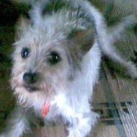 Jennifer Dunkley Photo 7