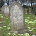 Mary Harrison Photo 14