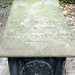 Peter Trader Photo 9