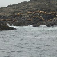 Deborah Kiley Photo 21 Deborah Kiley Photo 21