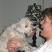 Lisa Bastian Photo 5