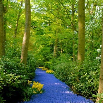 Angel Moreno Photo 36