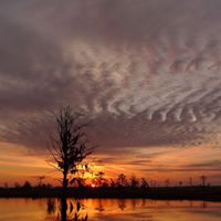 Laura Simms Photo 22