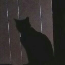 Sherry Valdez Photo 6