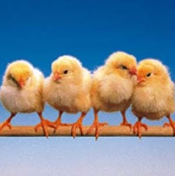 Sheryl Webb Photo 34