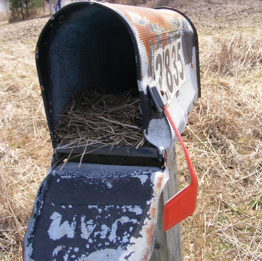 Karen Rice Photo 20
