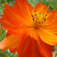 Chris Coen Photo 20 Chris Coen Photo 20