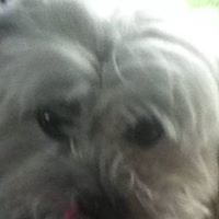 Mary Beaudoin Photo 26