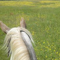 Janet Skaggs Photo 19