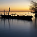 Ray Barnette Photo 10
