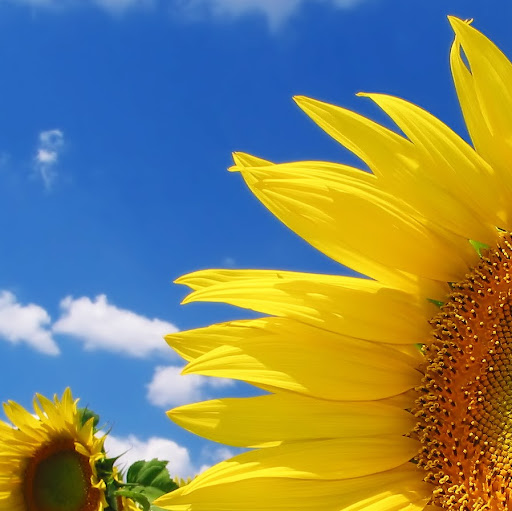 Cheryl Davenport Photo 32