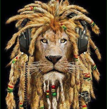 Lazaro Rosa Photo 11