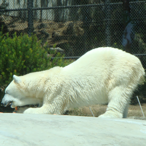 Debbie Weeks Photo 3