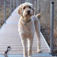 Bryan Steinert Photo 9