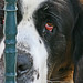 Lisa Hurt Photo 28