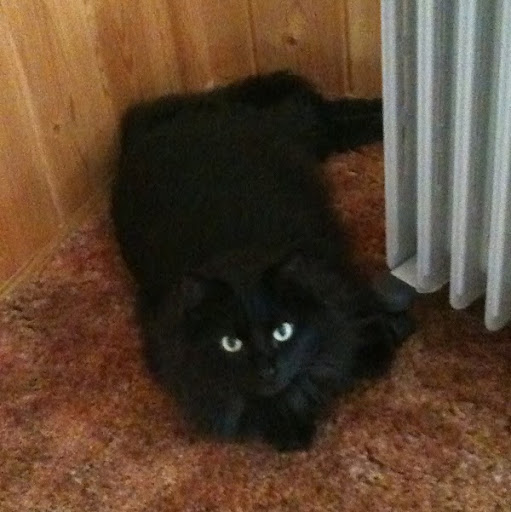 Faye Miller Photo 32