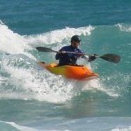 David Sheffler Photo 15