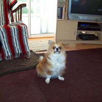 Cheryl Mclellan Photo 8