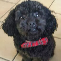 Sean Kemp Photo 41 Sean Kemp Photo 41