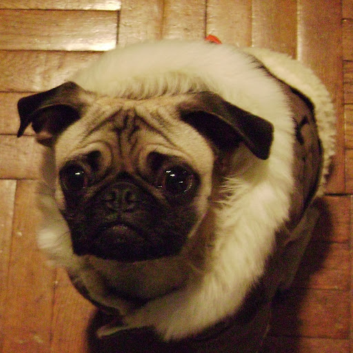 Christina Travers Photo 1