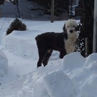 Kathleen Samuels Photo 2